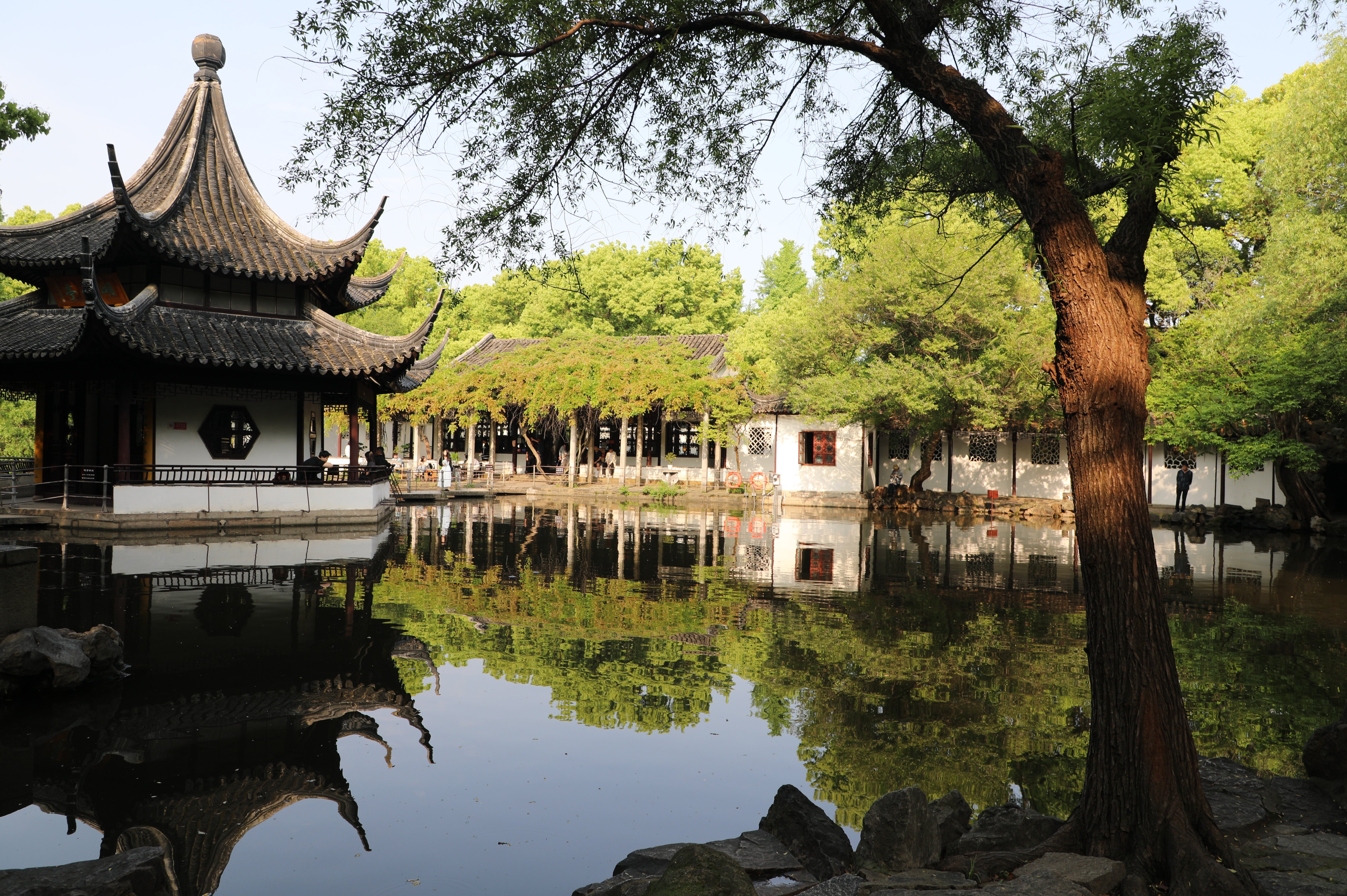 读万卷书,行万里路 | 2024年通鼎集团开展读书月系列活动 读万卷书,行万里路 | 2024年通鼎集团开展读书月系列活动